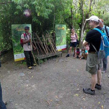 Blick auf eine Ausflugsgruppe bei der Wanderung im Nationalpark Arenal