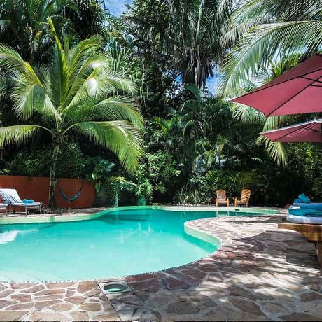 Bungalows und Cabinas Pequeño Gecko Verde Pool 2 Blick auf den Pool der Bungalows und Cabinas Pequeño Gecko Verde