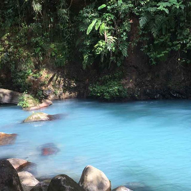 Naturkundliche Wanderung Río Celeste Himmelblauer Fluss