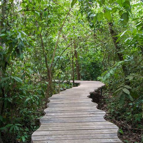 Dschungel-Lodge Danta Corcovado Aussenanlage 01 Weg zum Public Deck der Duschungel-Lodge Danta Corcovado