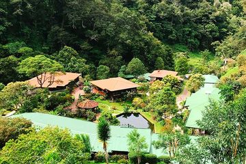 Bungalow Trogon Lodge Superiorzimmer 09