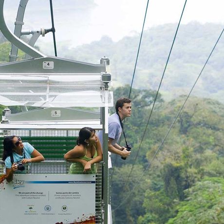 Seilbahnfahrt über dem Blätterdach des Nebelwaldes von Monteve Blick auf eine Seilbahn bei der Seilbahnfahrt über dem Blätterdach des Nebelwaldes von Monteverde