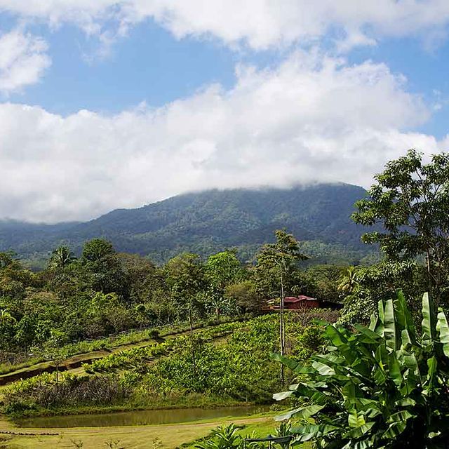 Costa Rica Rincon de la vieja La Anita