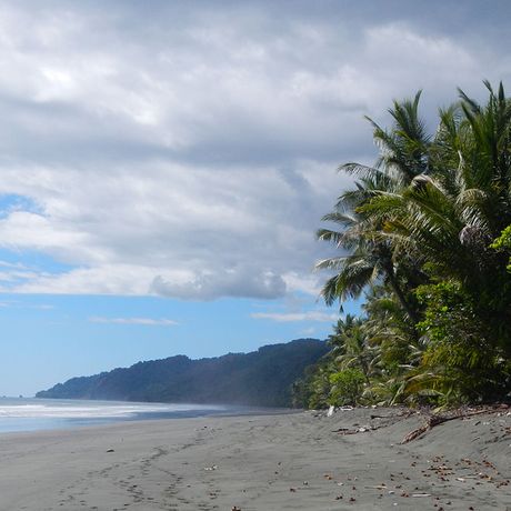 Costa Rica Pazifikküste Osa Costa Rica Pazifikküste Osa