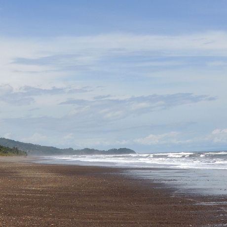 Costa Rica Weiter Strand In Ballena grenzen weite Strände an dichten Urwald.