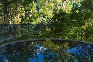 Pacuare Lodge Canopy Villa Infinity Pool