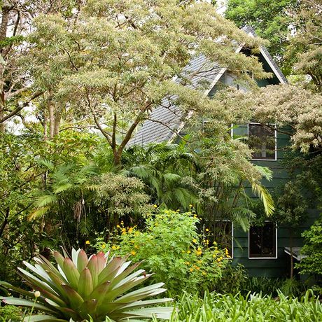 Aussenansicht auf das Spa des Hotel Monteverde Lodge