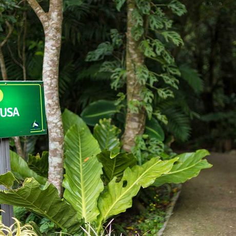 Blick auf ein Hinweisschild zu einem Wanderweg der Pension Cala Lodge
