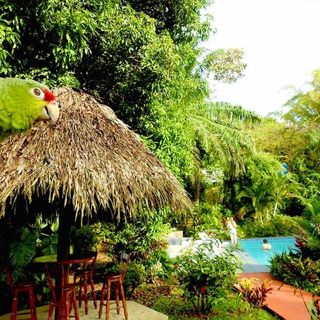 Blick auf den Pool der Bungalows Diquis del Sur 