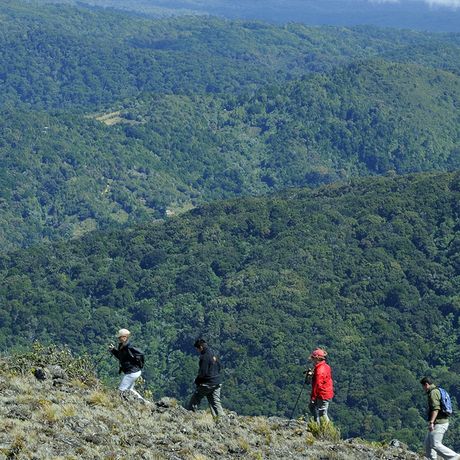 Bei Wanderungen im Hochland haben Sie dank der Höhenmeter unvergessliche Panorama-Sichten auf das Umland.