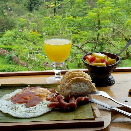 Celeste Mountain Lodge Frühstück Frühstück mit Blick auf den Garten in der Celeste Mountain Lodge