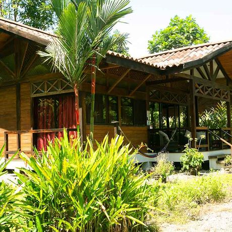 Blick auf ein Bungalow der Strandunterkunft Kenaki Lodge 