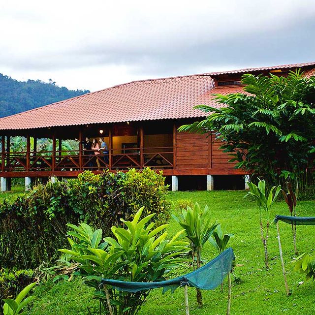 Bungalow Anita Rainforest Lodge Restaurant 03