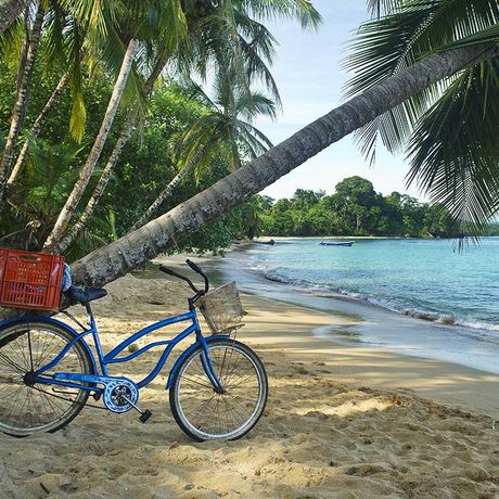 Costa Rica Strandunterkunft Fahrrad Eine weite Bucht mit hellem Sandstrand und einer Palme im Vordergrund, an die ein Fahrrad gelehnt ist