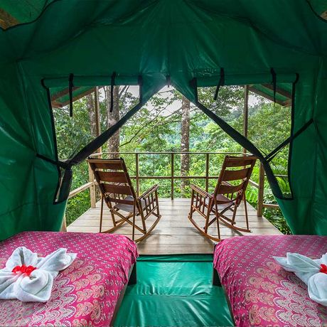 Blick auf zwei Betten eines Zeltes der Dschungel-Lodge Luna Lodge 
