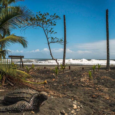 Ein Wanderer steht am naturbelassenen Strand des Nationalparks Gandoca und blickt auf die heranrollenden Wellen