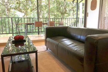 Bungalow Dantica Cloud Forest Lodge Bungalow Wald 06