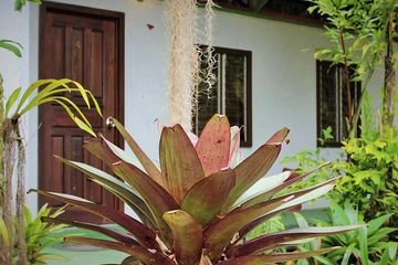 Dschungel-Lodge-Talamanca Gartenbungalow von außen