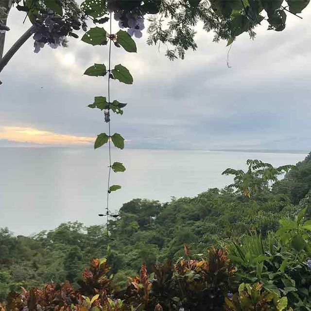 Extreme-Wanderung-Manuel-Antonio-04