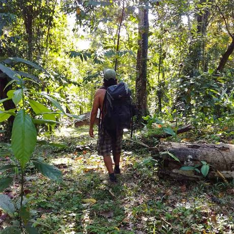 Blick auf einen Wanderweg beim Tagesausflug Schnorcheln und Wanderung im Nationalpark Cahuita