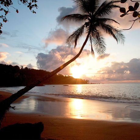 Dschungel-Lodge Copa de Arbol Strand 01 Blick auf einen Sonnenuntergang am Strand der Dschungel-Lodge Copa de Arbol