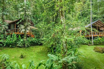 Pacuare Lodge Flussblick Suite Suiten im Regenwald