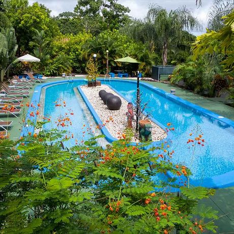 Blick auf den Pool der Heliconias Nature Lodge