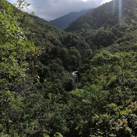 Costa Rica Nebelwald Sonnenstrahl
