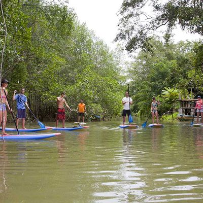 SUP-Tour in den Mangroven-01