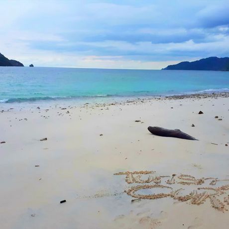 Blick auf den Strand bei der Wanderung im Curú Naturschutzgebiet