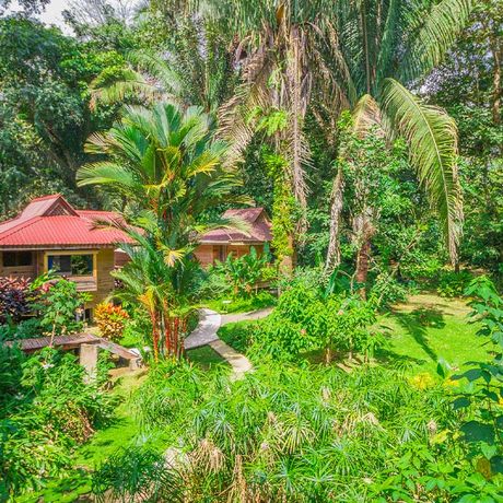 Blick in den Garten der Bungalows Mono Feliz