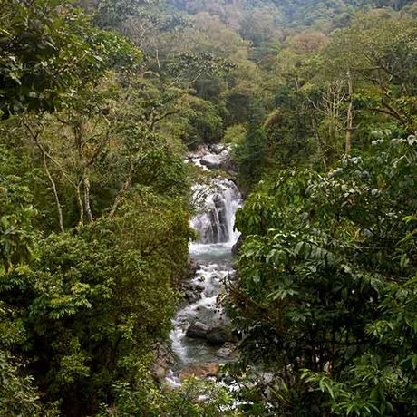 Flusslauf im Regenwald von San Gerardo de Rivas
