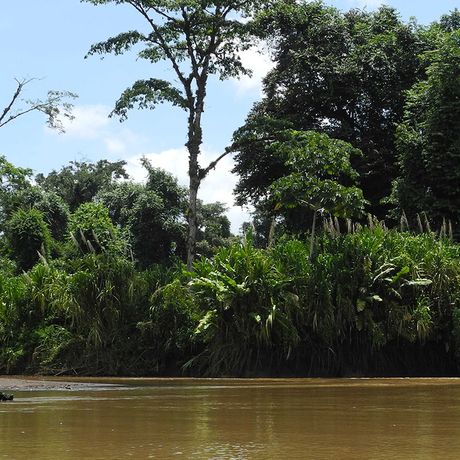 Lernen Sie die einmalige Flora und Fauna der Region bei einer Bootstour kennen