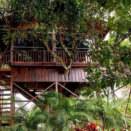 Costa Rica Baumhaus Gut Getarnt Baumhäuser finden Sie in üppiger Natur