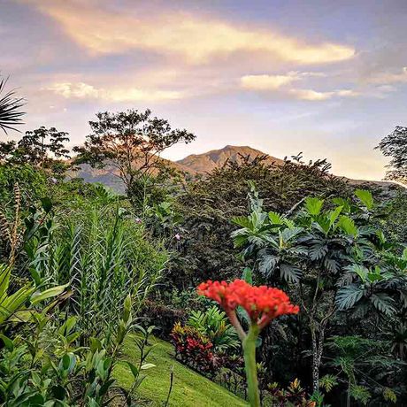 Hotel Sueño Río Celeste Ausblick Ausblick