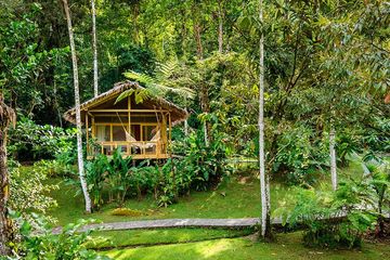 Pacuare Lodge Gartensuite Suite mit Blick auf Regenwald