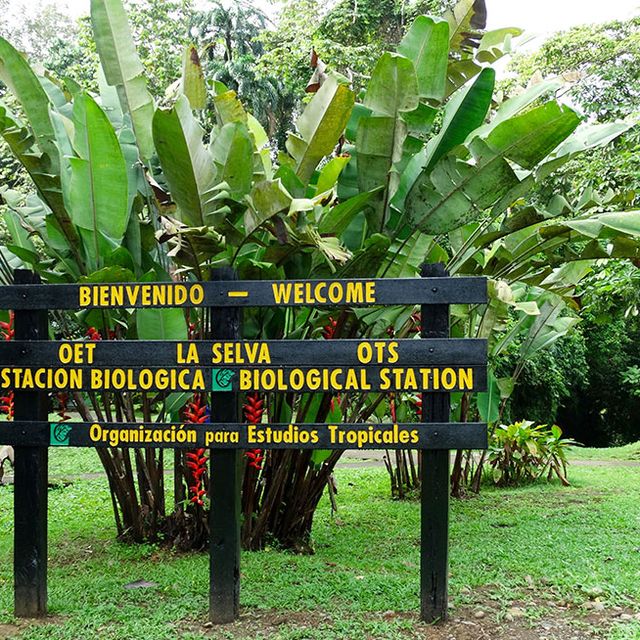 Naturkundliche Exkursion La Selva 01