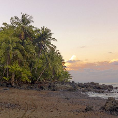 Blick auf den Strand des Hotels Parador Resort & Spa