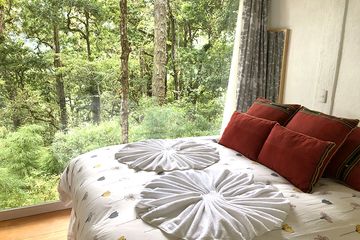 Bungalow Dantica Cloud Forest Lodge Bungalow Wald 11
