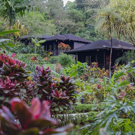 Hotel Lomas del Volcán Bungalows grün Blick auf die Bungalows