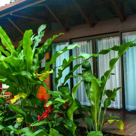 Blick auf eine Veranda der Strandunterkunft Kenaki Lodge 