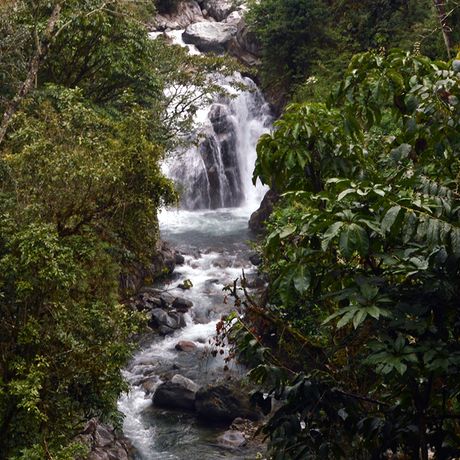 Costa Rica Flusslauf In den Tälern und Wäldern der Region fließen klare Flüsse