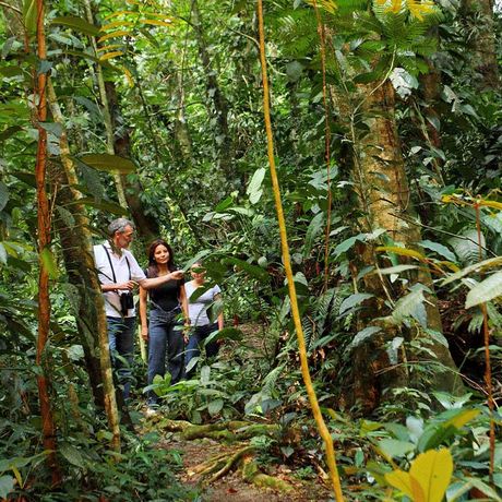 Blick auf einen Wanderweg im Boutique-Hotel Hacienda La Isla Lodge