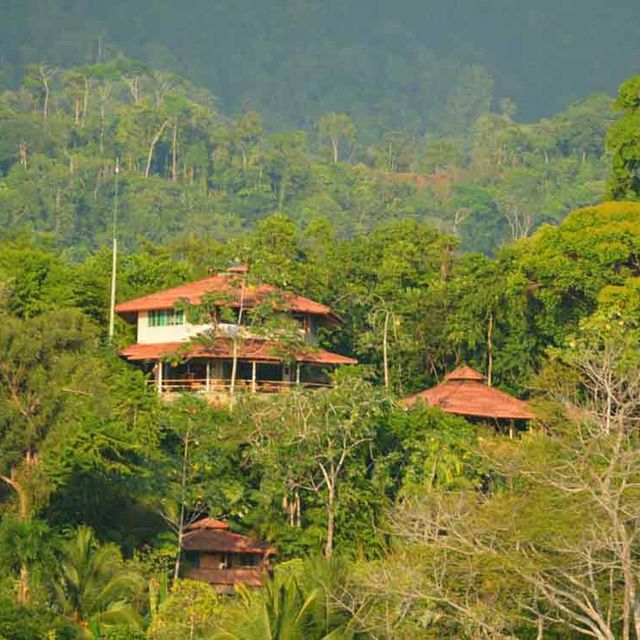 Dschungellodge La Cusinga Bungalow