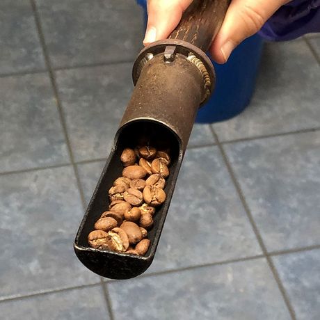 Besichtigen Sie die biologische Finca Cristina und tauchen Sie ein in die Welt des qualitativ hochwertigen Arabica-Kaffees