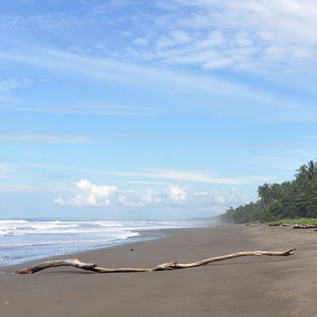 Costa Rica Leerer Strand An den unberührten Stränden Ballenas treffen Sie kaum auf andere Menschen.