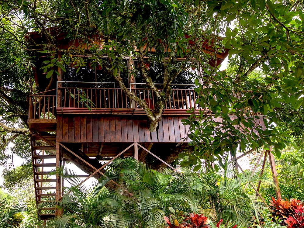 Costa Rica Baumhaus Gut Getarnt
