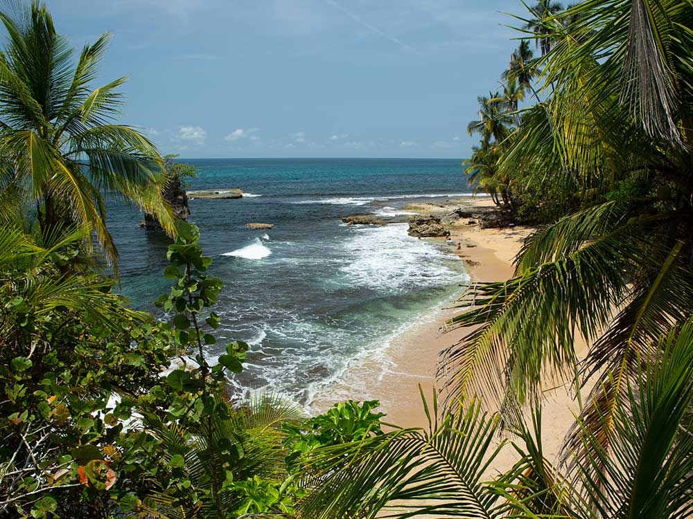 Costa Rica Karibikküste am Strand Manzanillo