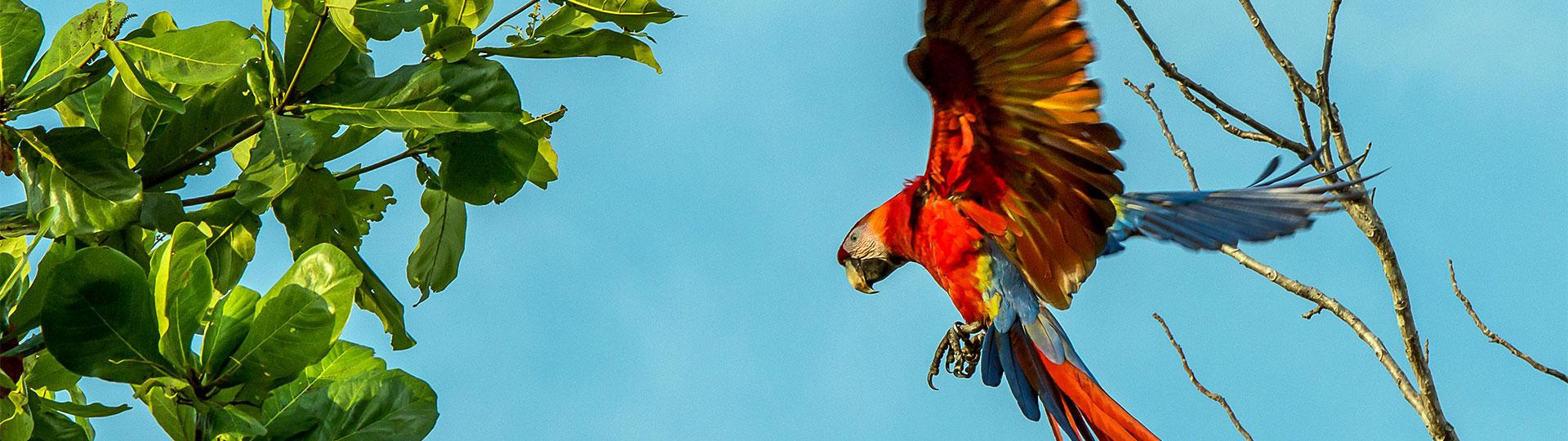Costa Rica Nationalparktouren