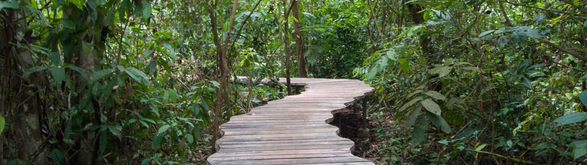 Dschungel-Lodge Danta Corcovado Aussenbereich Banner